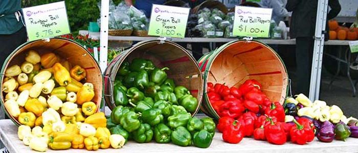 A community farmers market with a variety of fresh local products
